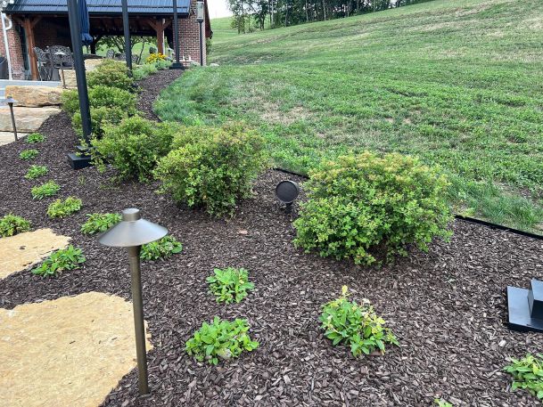 Landscape mulch bed featuring low profile path lighting and dark outdoor cone speaker