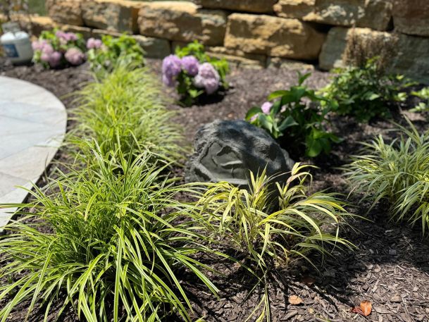 Garden bed with rock speaker surround by ornamental grasses and blooming hydrangeas
