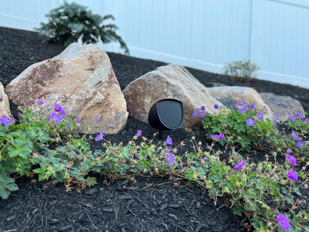 Small black outdoor landscape speaker situated among purple flowers and mulch